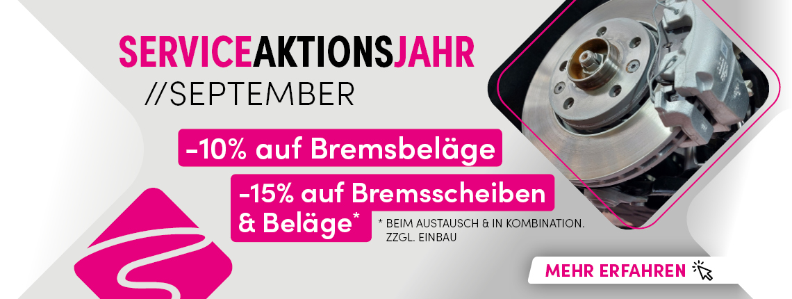 Serviceaktionsjahr